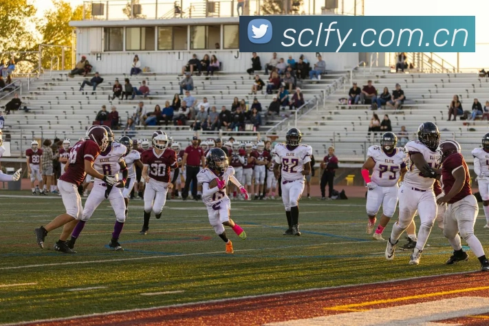 九游j9官方官网APP 体育赛事宣传图